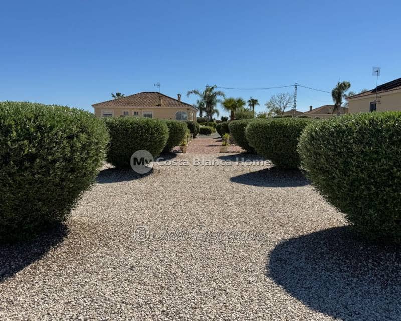 3 sypialnia Willa na sprzedaż w Catral z basenem - 379 995 € (Ref: 9778463)