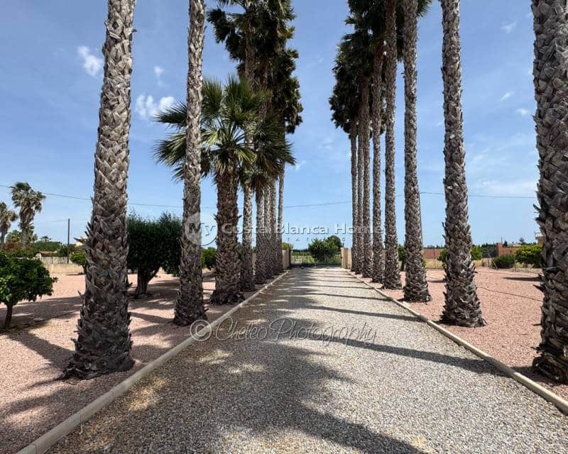 3 chambre Finca/Maison de Campagne à vendre à Benejuzar avec piscine garage - 625 000 € (Ref: 9832330)