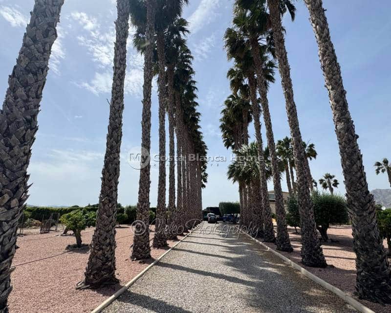 3 chambre Finca/Maison de Campagne à vendre à Benejuzar avec piscine garage - 625 000 € (Ref: 9832330)