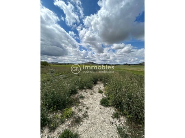 Grunde uden byggetilladelser til salg i Sineu - € 200.000 (Ref: 9437933)