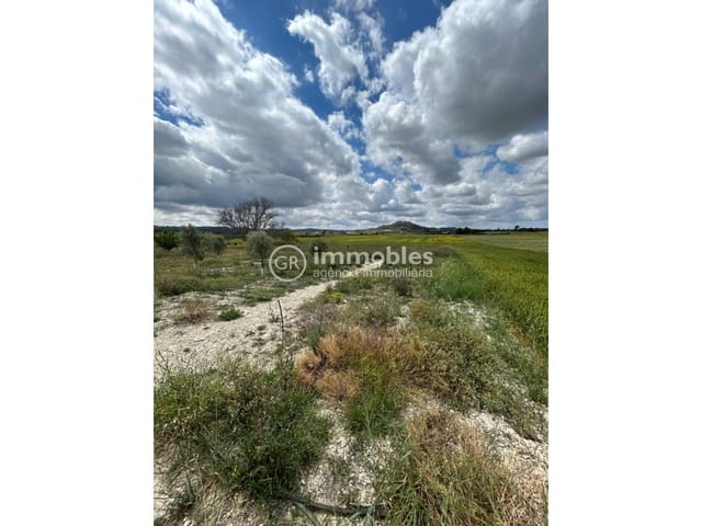 Grunde uden byggetilladelser til salg i Sineu - € 200.000 (Ref: 9437933)