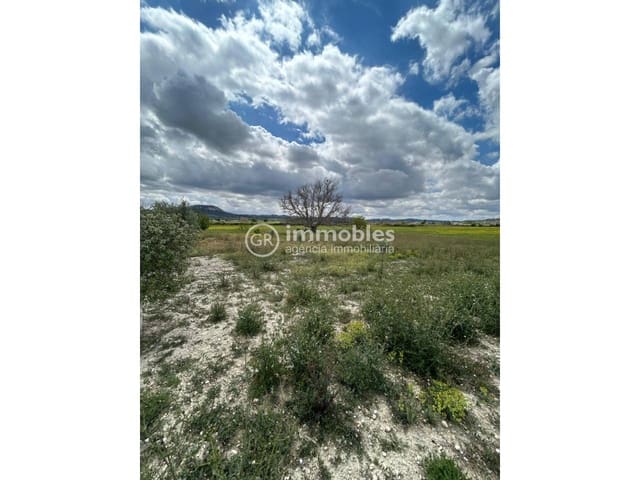 Grunde uden byggetilladelser til salg i Sineu - € 200.000 (Ref: 9437933)