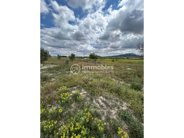 Grunde uden byggetilladelser til salg i Sineu - € 200.000 (Ref: 9437933)