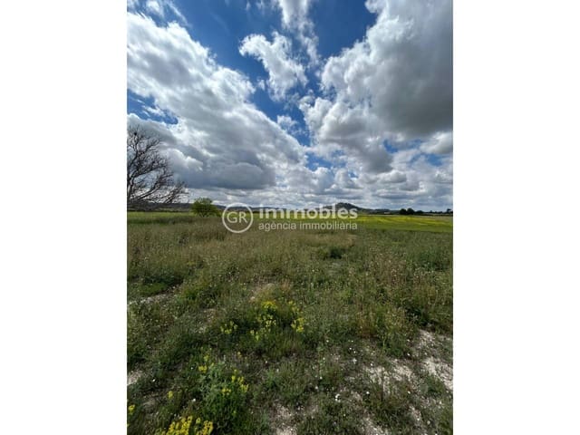 Grunde uden byggetilladelser til salg i Sineu - € 200.000 (Ref: 9437933)