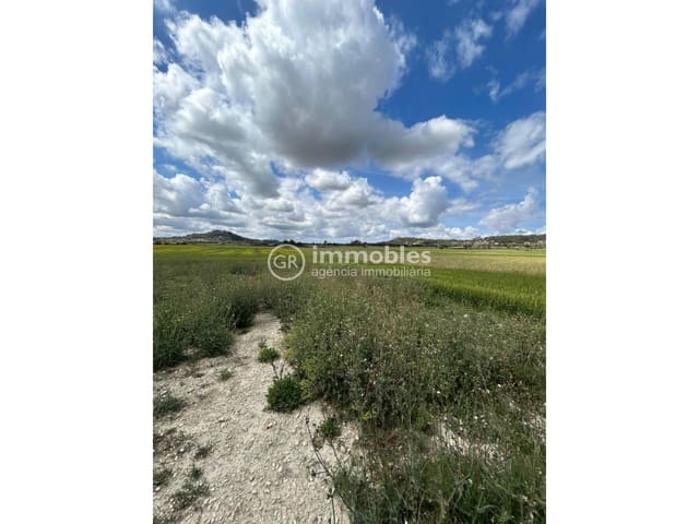 Grunde uden byggetilladelser til salg i Sineu - € 200.000 (Ref: 9437933)