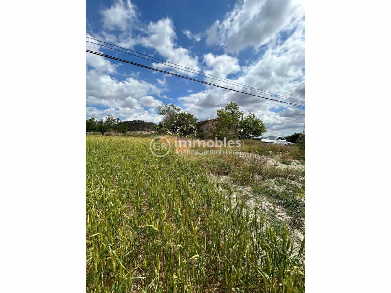 Grunde uden byggetilladelser til salg i Sineu - € 200.000 (Ref: 9437933)