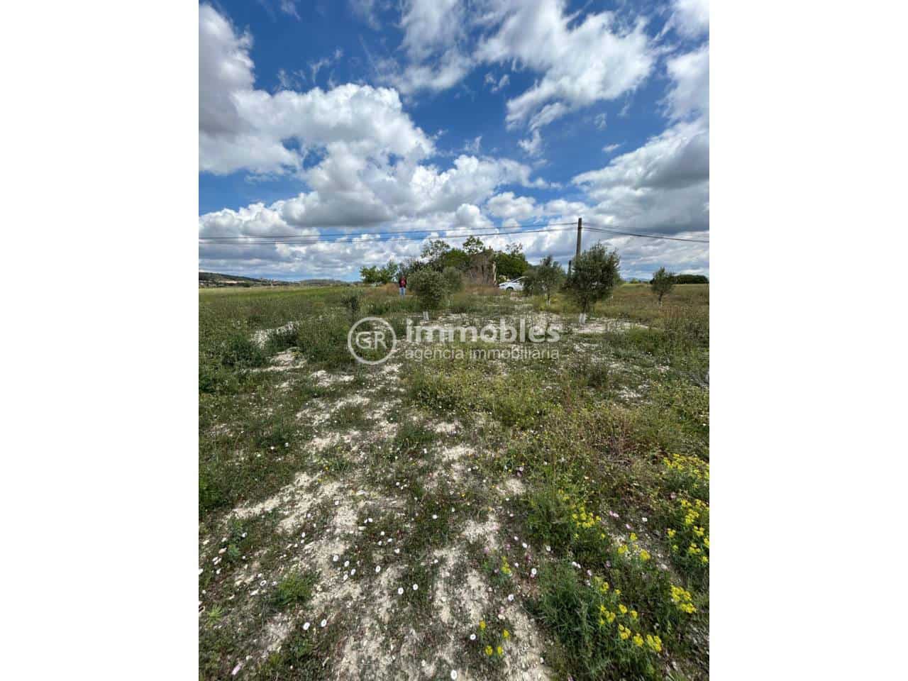 Grunde uden byggetilladelser til salg i Sineu - € 200.000 (Ref: 9437933)