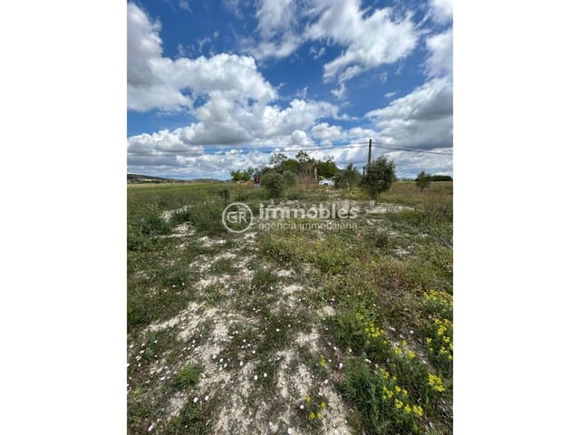 Grunde uden byggetilladelser til salg i Sineu - € 200.000 (Ref: 9437933)