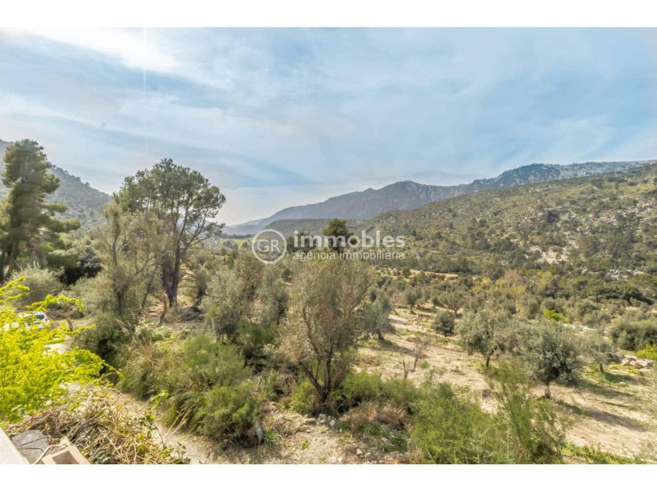 3 slaapkamer Finca/Landhuis te koop in Orient - € 400.000 (Ref: 9437937)