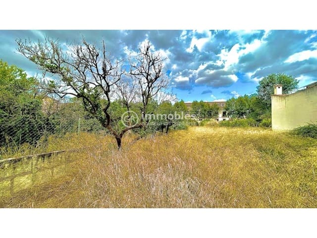Undeveloped Land for sale in Llubí - € 132,000 (Ref: 9437944)