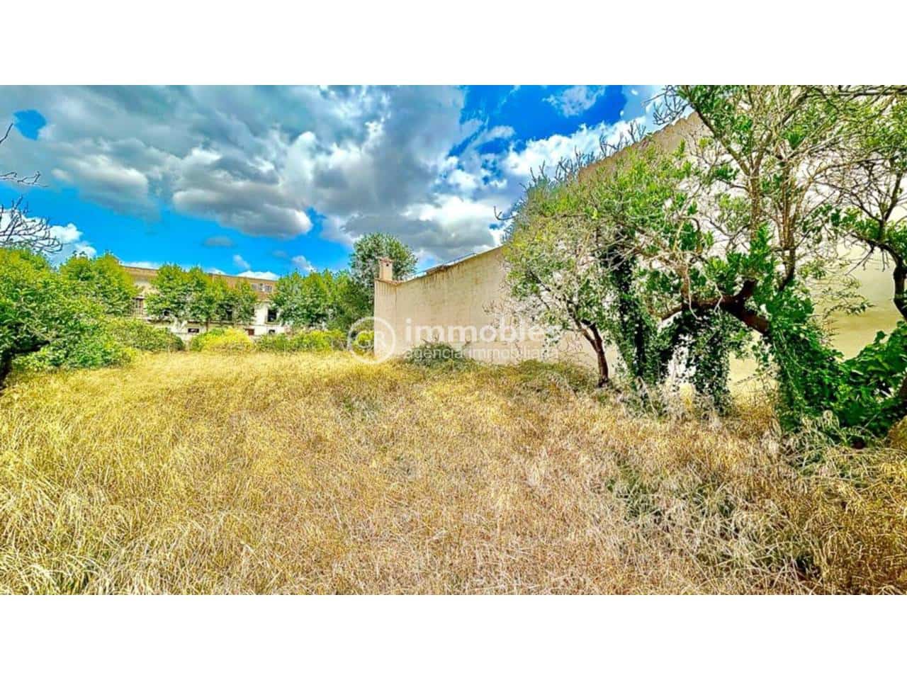 Undeveloped Land for sale in Llubi - € 132,000 (Ref: 9437944)