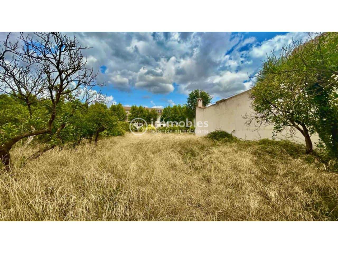 Undeveloped Land for sale in Llubi - € 132,000 (Ref: 9437944)