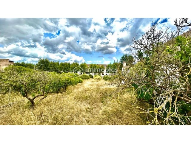 Undeveloped Land for sale in Llubí - € 132,000 (Ref: 9437944)