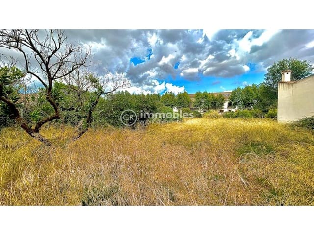 Undeveloped Land for sale in Llubí - € 132,000 (Ref: 9437944)