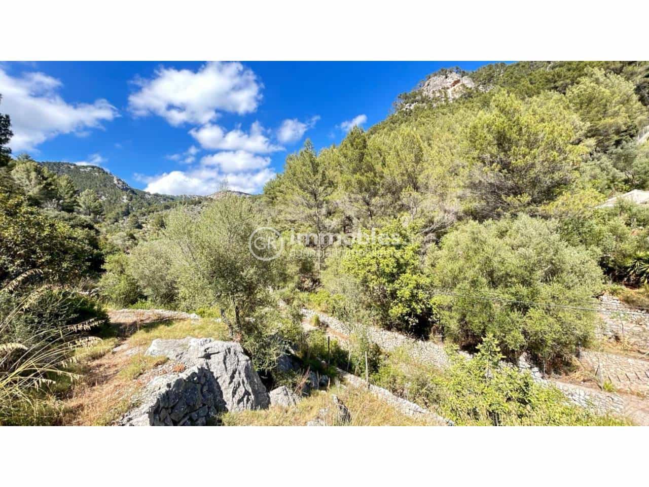 2 bedroom Finca/Country House for sale in Alaro - € 195,000 (Ref: 9437953)