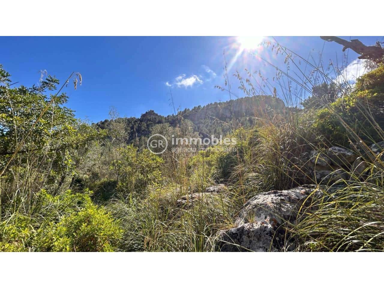 2 bedroom Finca/Country House for sale in Alaro - € 195,000 (Ref: 9437953)