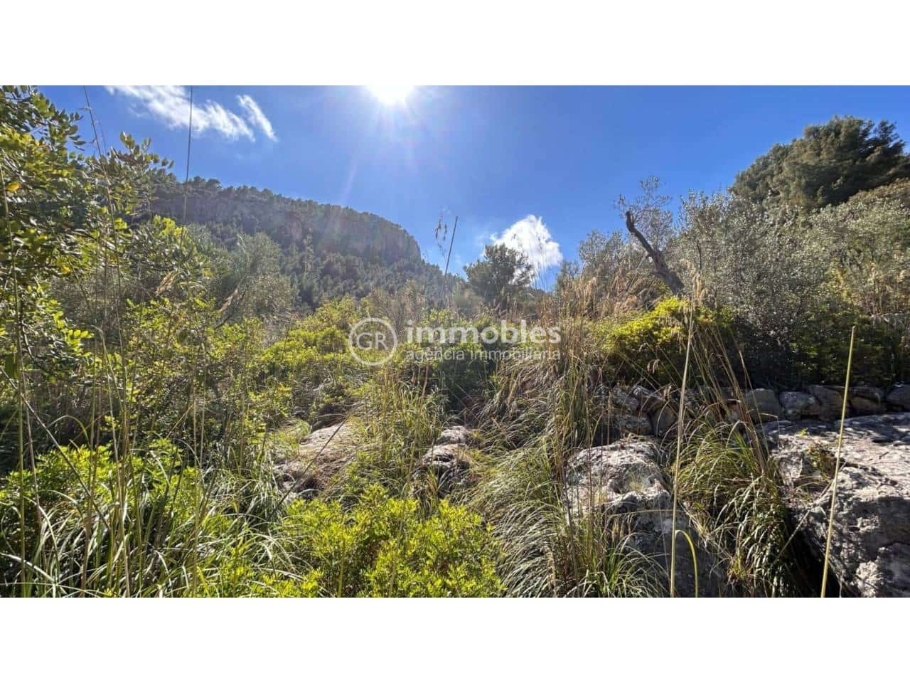 2 bedroom Finca/Country House for sale in Alaro - € 195,000 (Ref: 9437953)