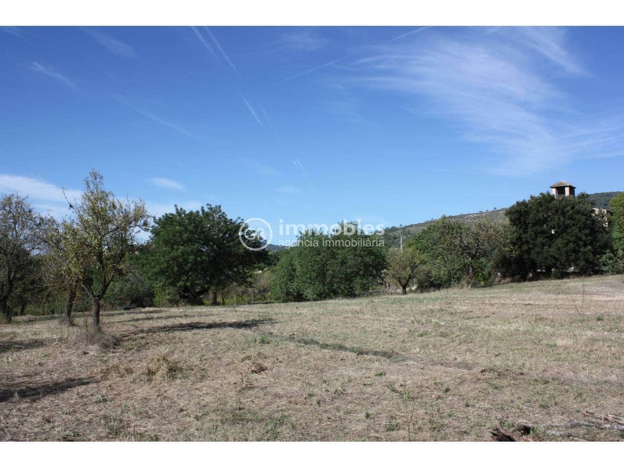 Undeveloped Land for sale in Lloseta - € 60,000 (Ref: 9437954)