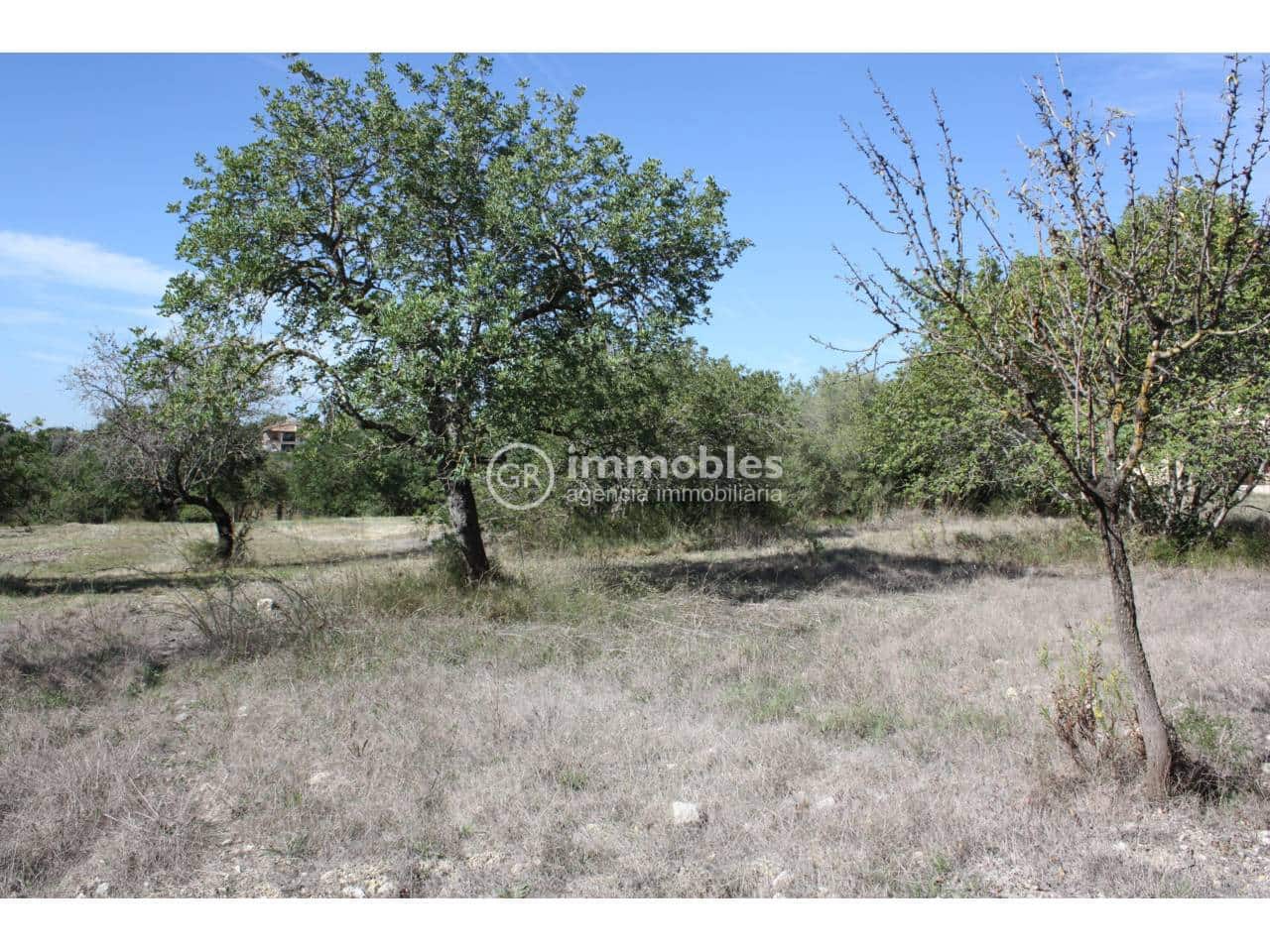 Undeveloped Land for sale in Lloseta - € 60,000 (Ref: 9437954)