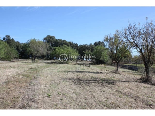 Landgrundstück zu verkaufen in Lloseta - 60.000 € (Ref: 9437954)