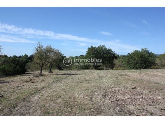 Landgrundstück zu verkaufen in Lloseta - 60.000 € (Ref: 9437954)