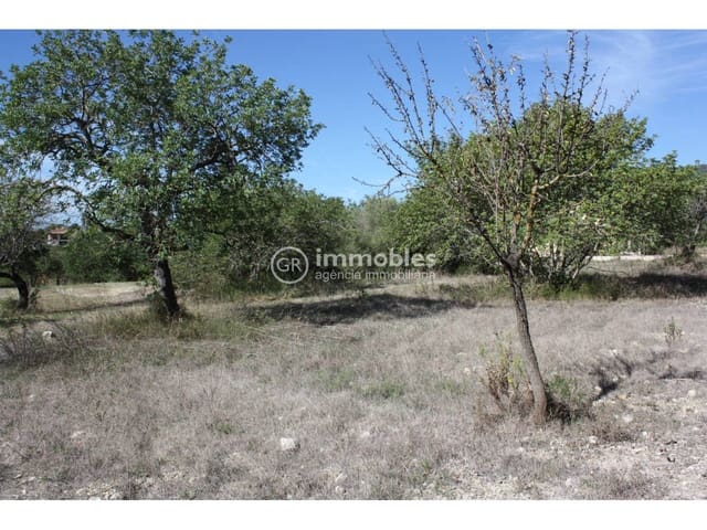 Landgrundstück zu verkaufen in Lloseta - 60.000 € (Ref: 9437954)