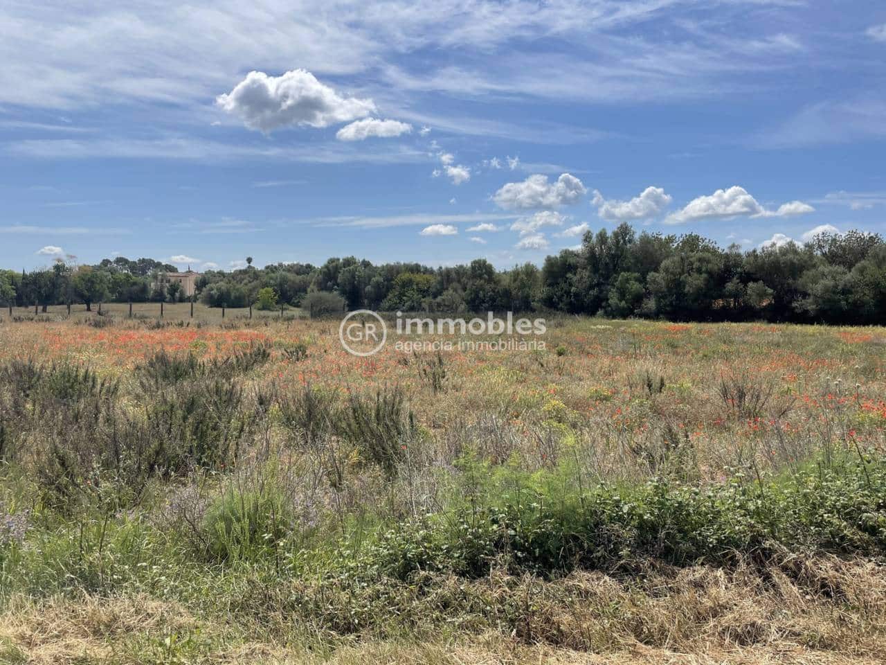 Terre non Aménagée à vendre à Sencelles - 50 000 € (Ref: 9437955)