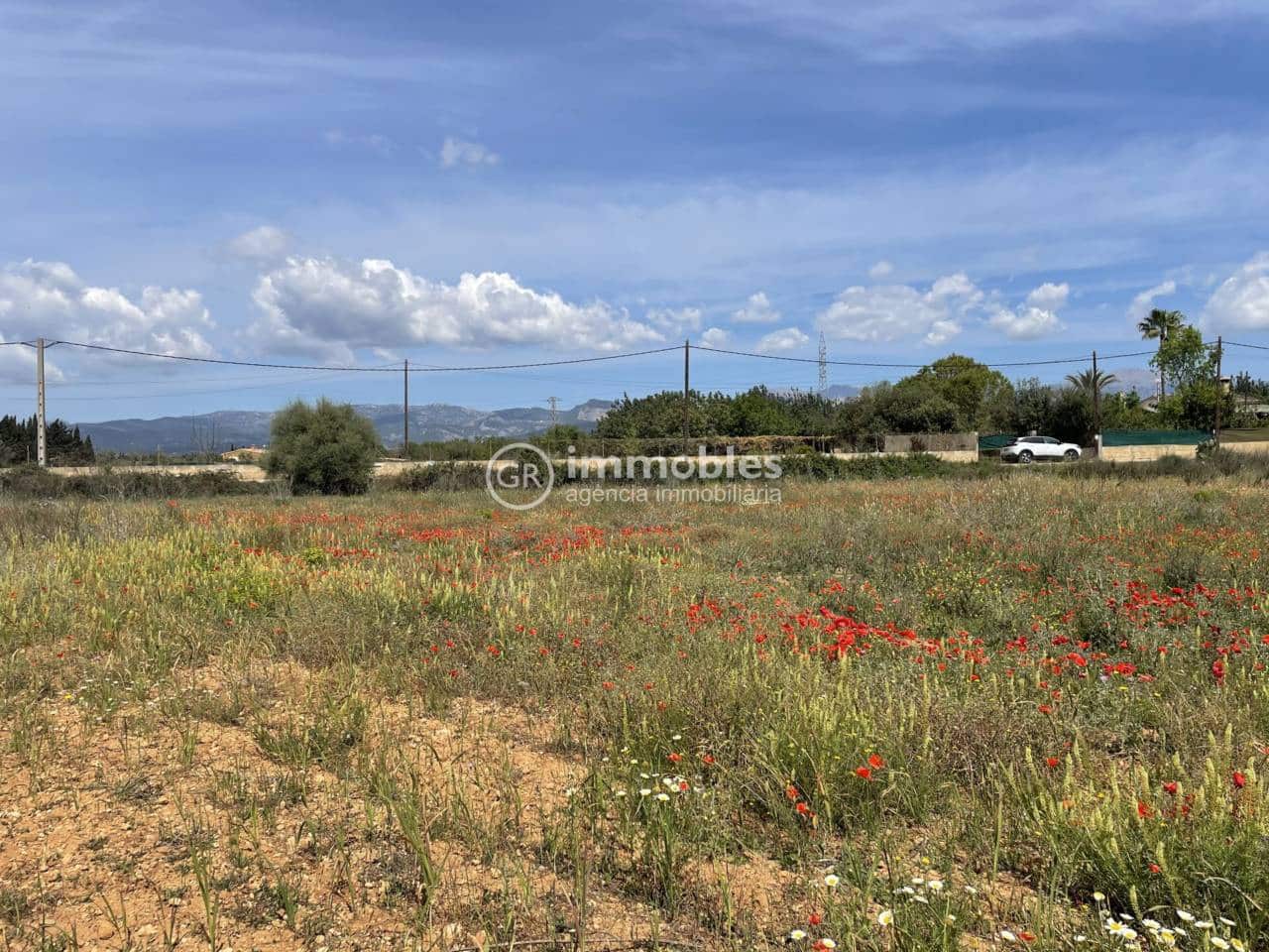 Terre non Aménagée à vendre à Sencelles - 50 000 € (Ref: 9437955)