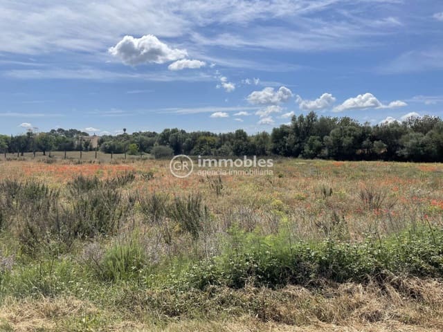 Terre non Aménagée à vendre à Sencelles - 50 000 € (Ref: 9437955)