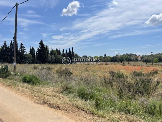 Terre non Aménagée à vendre à Sencelles - 50 000 € (Ref: 9437955)