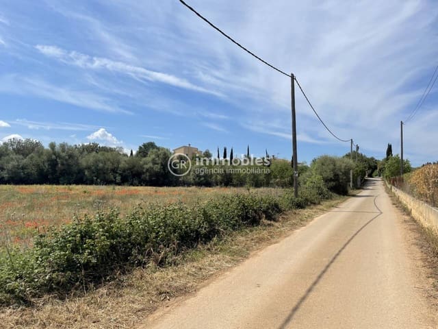 Terre non Aménagée à vendre à Sencelles - 50 000 € (Ref: 9437955)