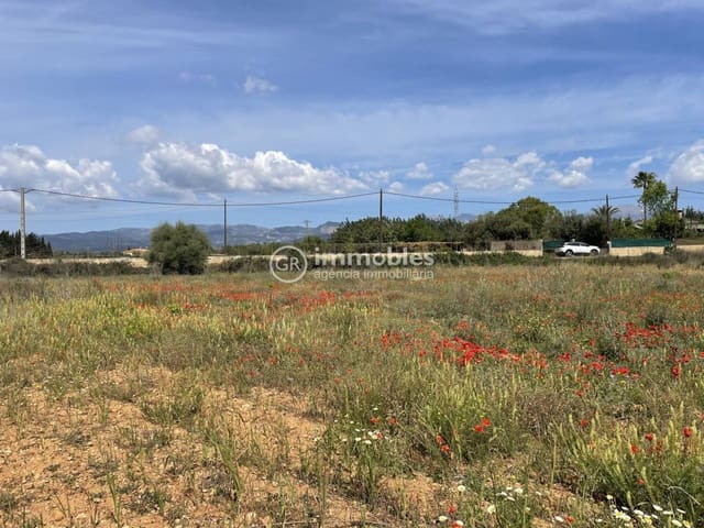 Terre non Aménagée à vendre à Sencelles - 50 000 € (Ref: 9437955)