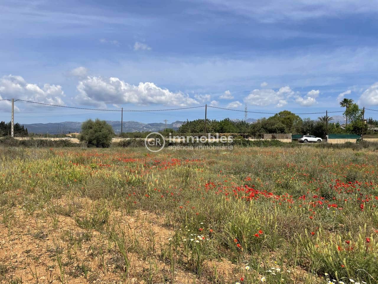 Terre non Aménagée à vendre à Sencelles - 50 000 € (Ref: 9437955)