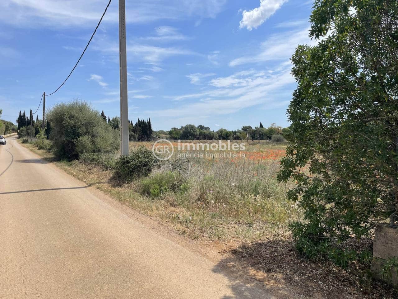 Terre non Aménagée à vendre à Sencelles - 50 000 € (Ref: 9437955)