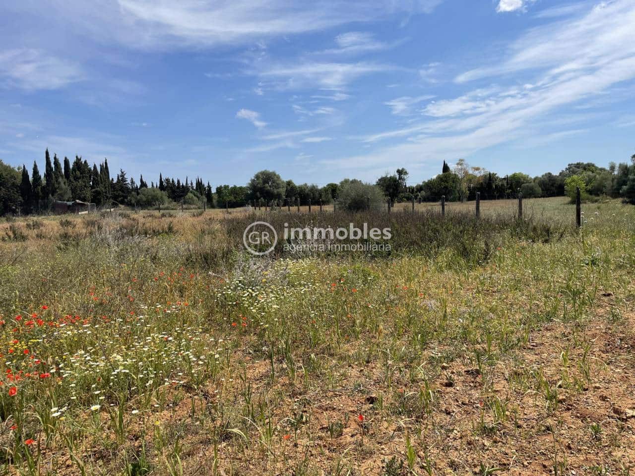 Terre non Aménagée à vendre à Sencelles - 50 000 € (Ref: 9437955)