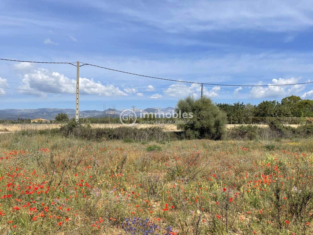 Terre non Aménagée à vendre à Sencelles - 50 000 € (Ref: 9437955)