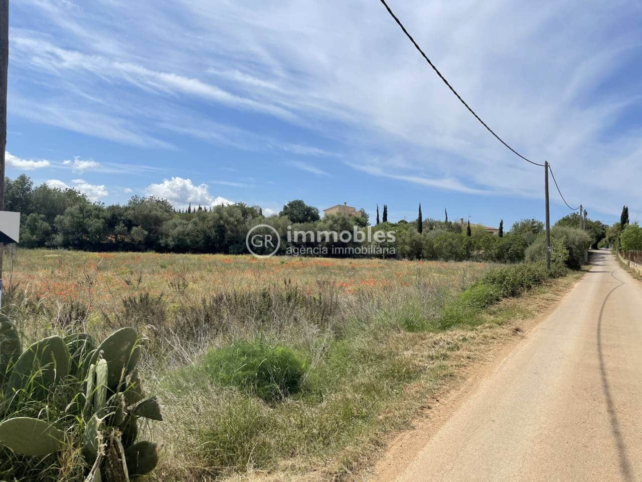 Terre non Aménagée à vendre à Sencelles - 50 000 € (Ref: 9437955)