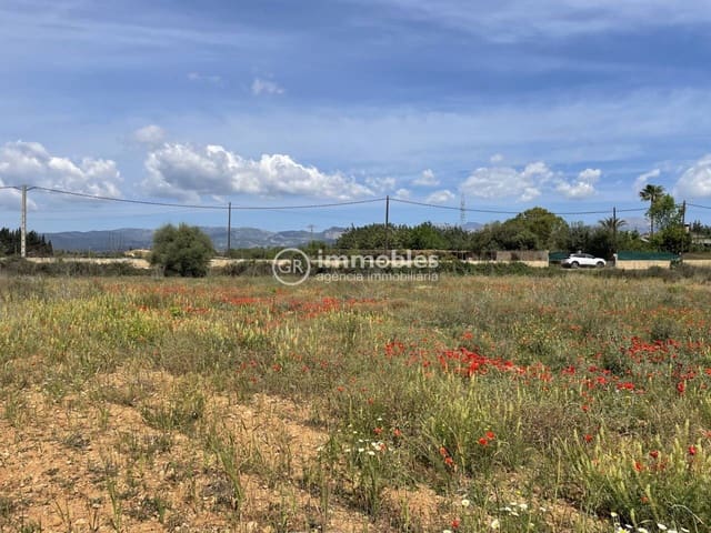 Terre non Aménagée à vendre à Sencelles - 50 000 € (Ref: 9437955)