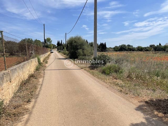 Terre non Aménagée à vendre à Sencelles - 50 000 € (Ref: 9437955)