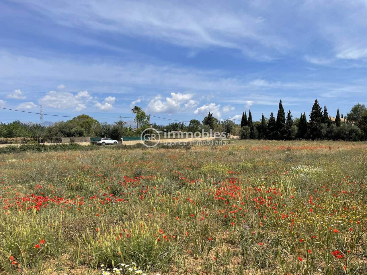 Terre non Aménagée à vendre à Sencelles - 50 000 € (Ref: 9437955)