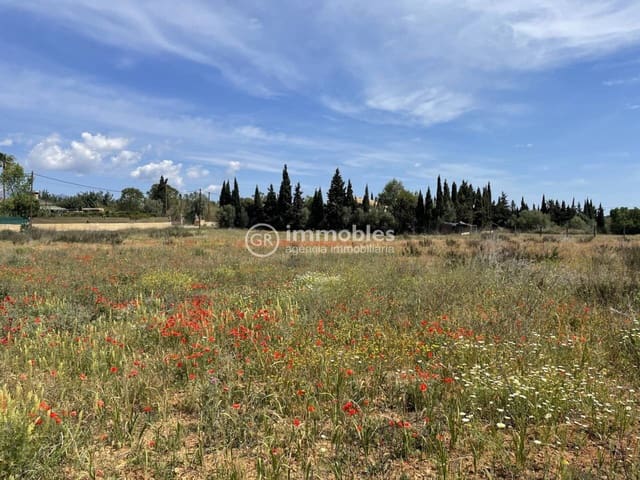 Terre non Aménagée à vendre à Sencelles - 50 000 € (Ref: 9437955)