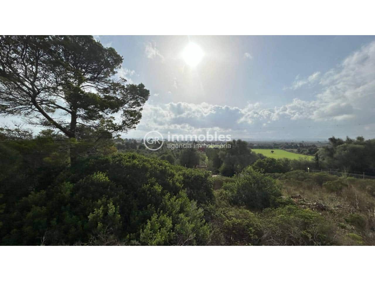 Undeveloped Land for sale in Alcudia - € 750,000 (Ref: 9437957)