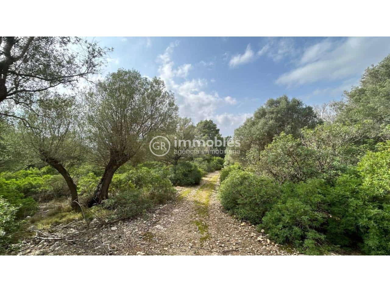 Undeveloped Land for sale in Alcudia - € 750,000 (Ref: 9437957)