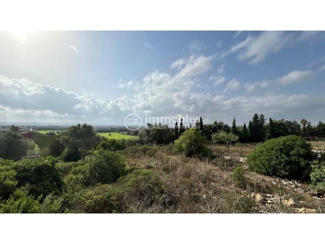 Terreno/Finca Rústica en Alcúdia en venta - 750.000 € (Ref: 9437957)