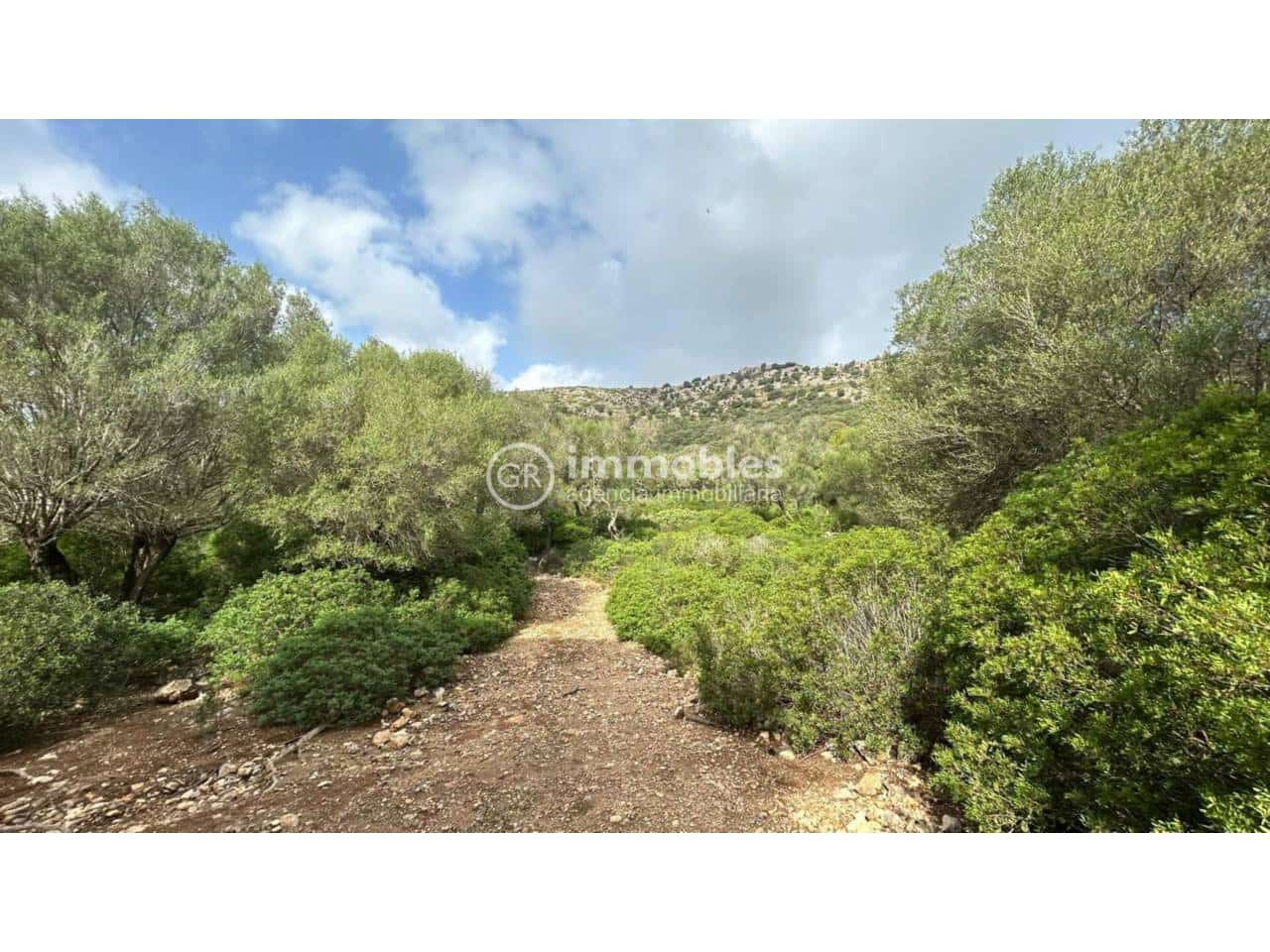 Undeveloped Land for sale in Alcudia - € 750,000 (Ref: 9437957)