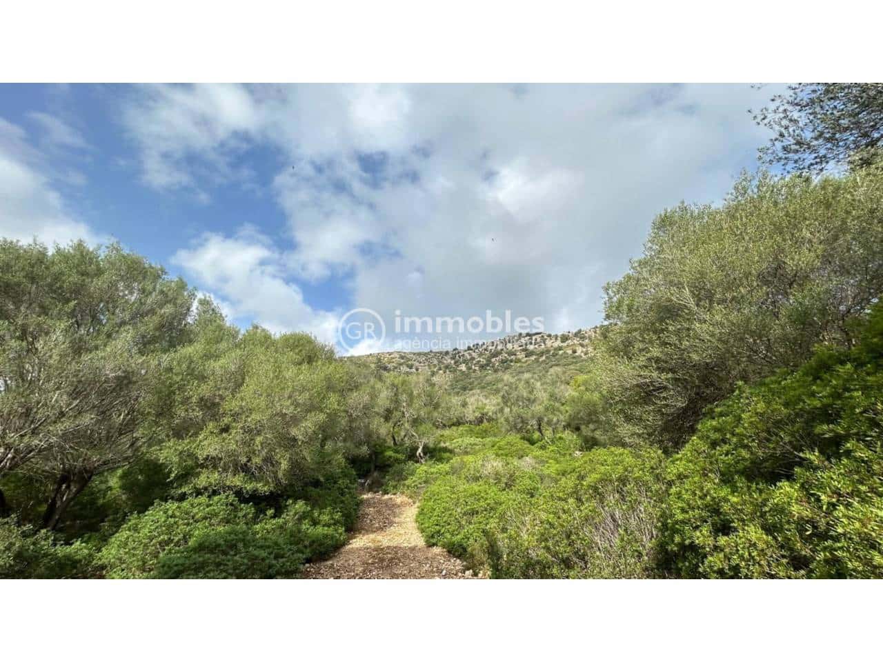 Undeveloped Land for sale in Alcudia - € 750,000 (Ref: 9437957)