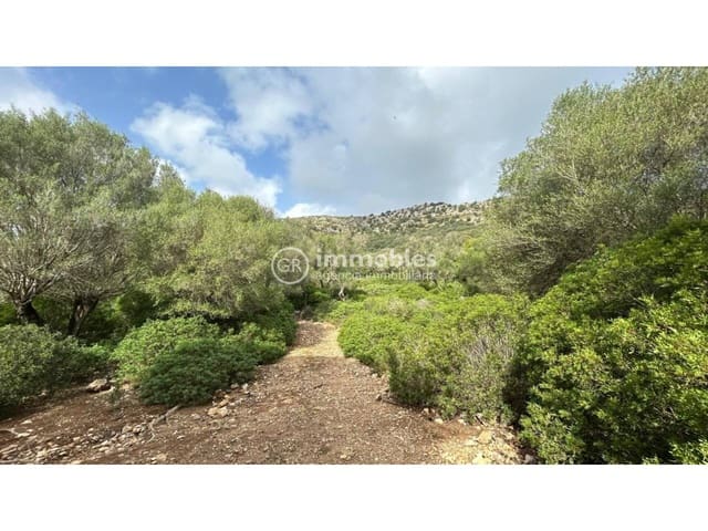 Terreno/Finca Rústica en Alcúdia en venta - 750.000 € (Ref: 9437957)