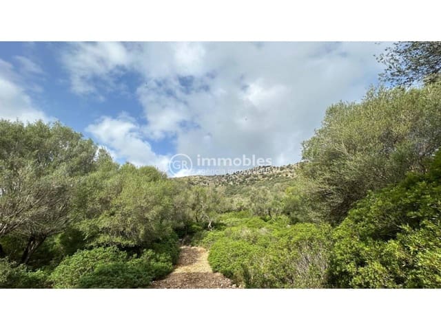 Terreno/Finca Rústica en Alcúdia en venta - 750.000 € (Ref: 9437957)