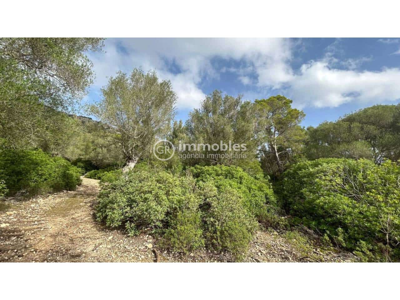 Undeveloped Land for sale in Alcudia - € 750,000 (Ref: 9437957)