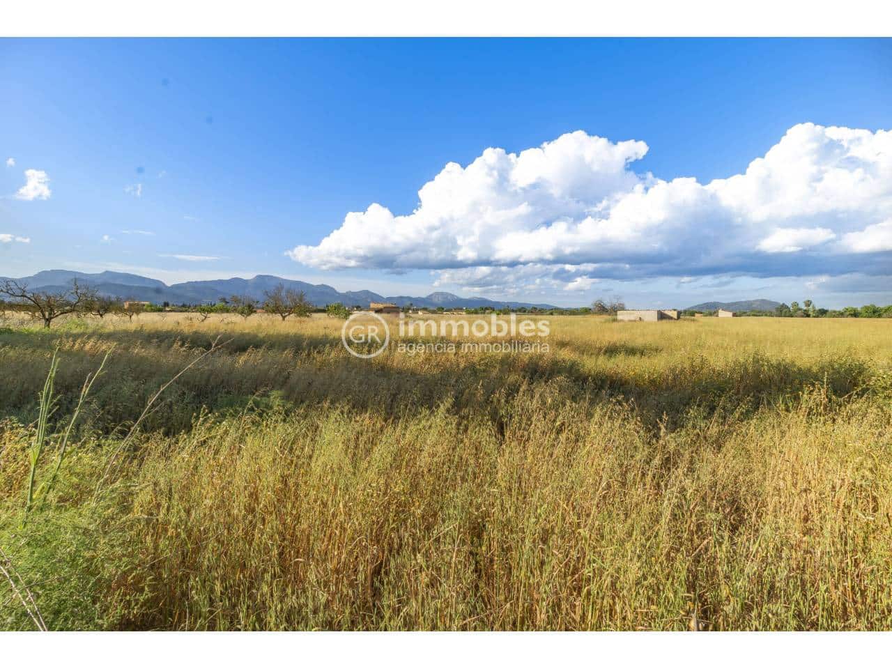 Bauplatz zu verkaufen in Biniagual - 2.100.000 € (Ref: 9437962)
